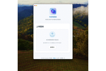 iconsize 使用演示